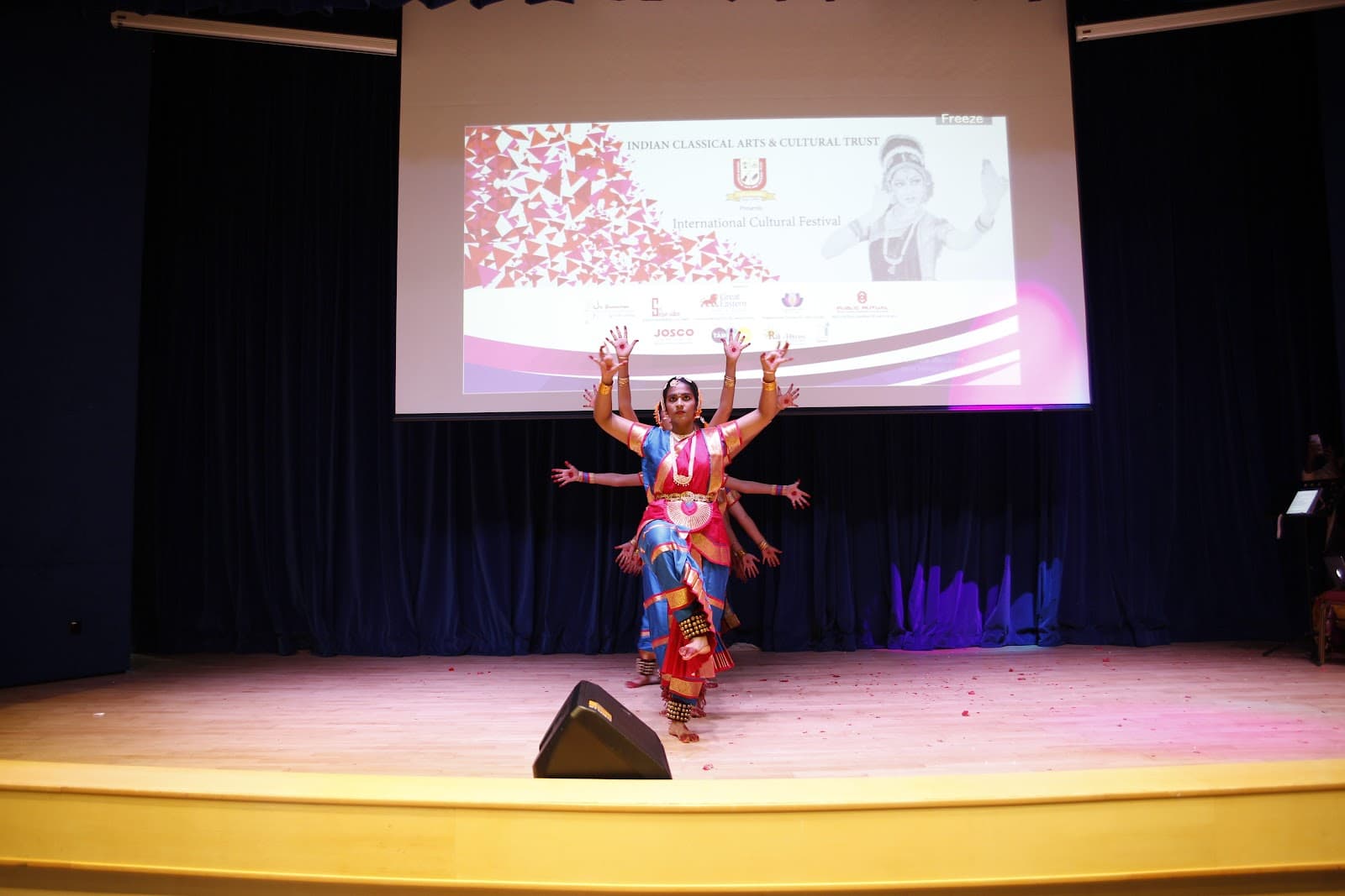 Cultural Dance Image 9